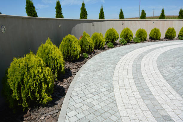 Best Affordable Driveway Pavers  in Kingsbury, NV